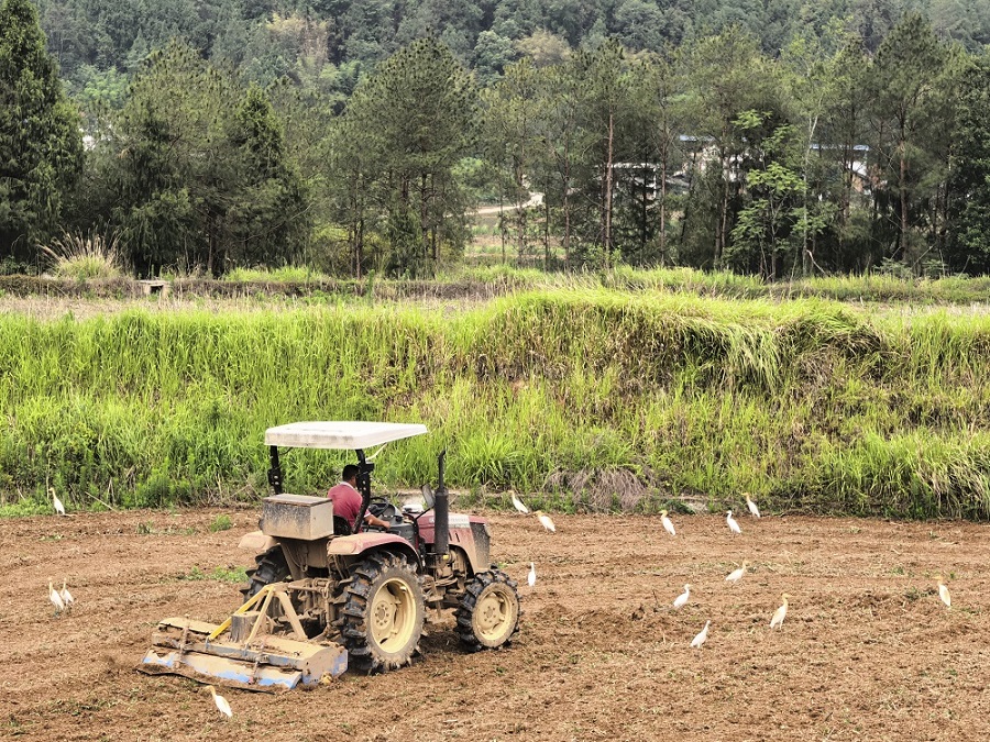 20250626 青山书角-内文5.jpg